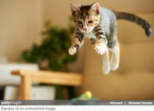 Load image into Gallery viewer, Coffee machine 1